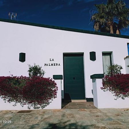 Casa La Palmera - Solo Familias Y Parejas Conil De La Frontera Eksteriør bilde