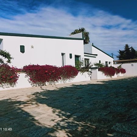 Casa La Palmera - Solo Familias Y Parejas Conil De La Frontera Eksteriør bilde