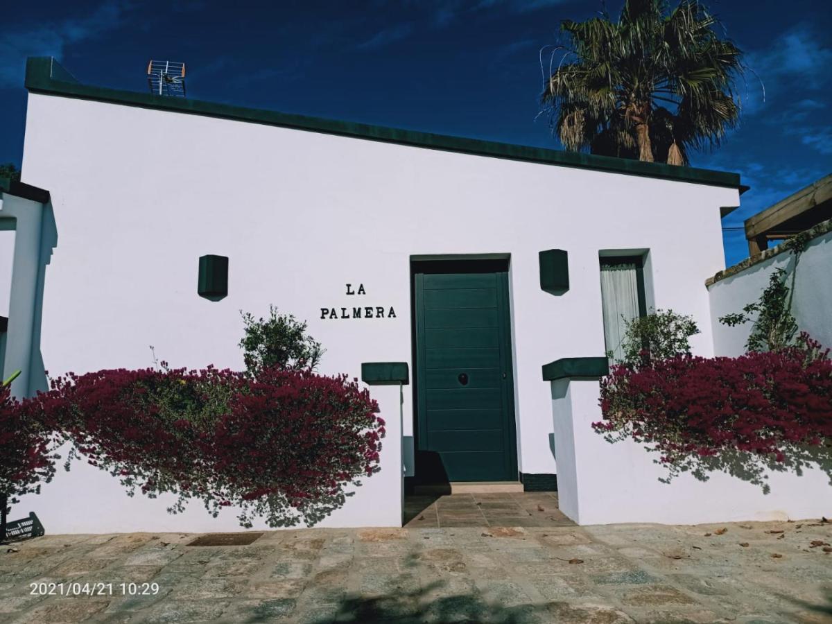 Casa La Palmera - Solo Familias Y Parejas Conil De La Frontera Eksteriør bilde