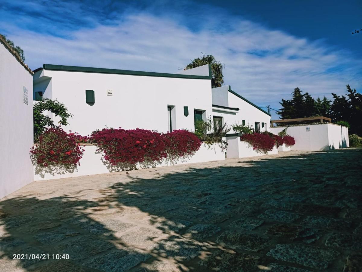 Casa La Palmera - Solo Familias Y Parejas Conil De La Frontera Eksteriør bilde